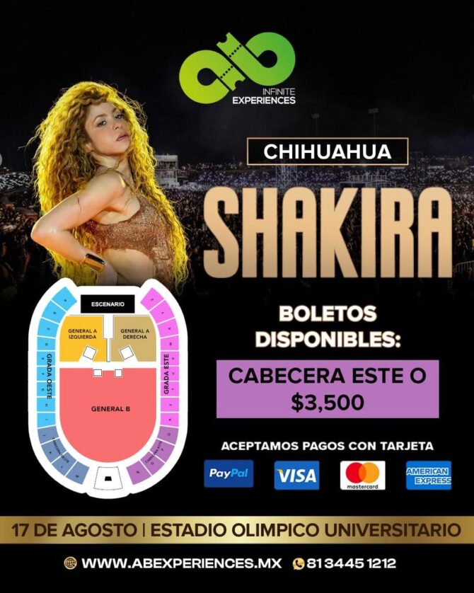 SHAKIRA CHIHUAHUA